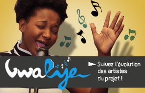 Suivez l'évolution des artistes du projet Vwalye !